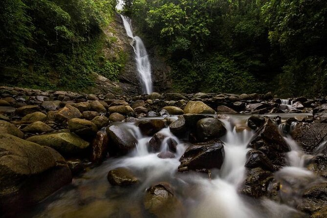 16 Lines Zipline, Cave, Hiking & Biausevu Waterfall Combo Tour - Why this Coral Coast combination works