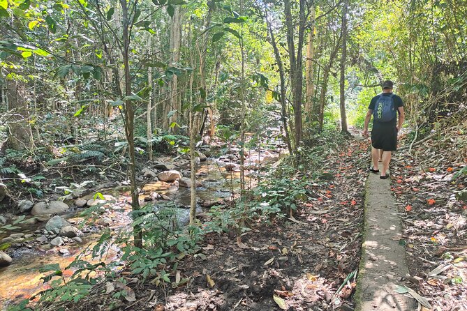 16 Lines Zipline, Cave, Hiking & Biausevu Waterfall Combo Tour - Is $182.97 a fair price?
