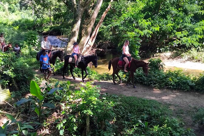16 Lines Zipline, Cave, Hiking & Biausevu Waterfall Combo Tour - Who should book this Fiji tour?