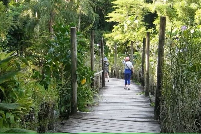 Best of Nadi Highlights - Viseisei Village and Fijian traditions