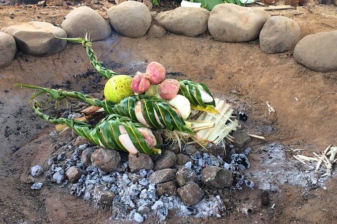 Biausevu Waterfall Tour (Sigatoka) - Biausevu Village and the Kava Ceremony