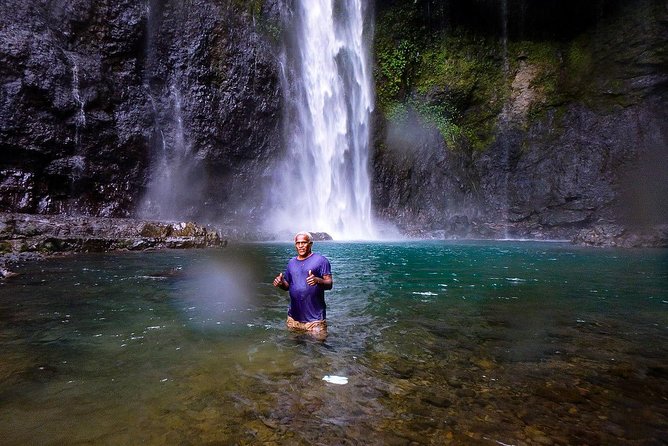 Biausevu Waterfall Tour (Sigatoka) - Swimming in the Cool Waterfall Lagoon