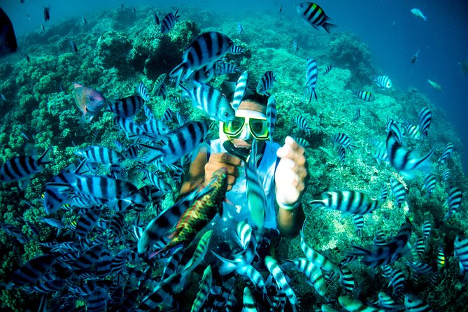 Blue Lagoon Cruises - Wanderer Cruise - 4 Night - Cabins, ship facilities, and the level of comfort