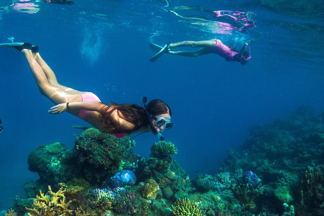 Capt Cook Cruises Super Saver Combo: Day Sail + Dinner Cruise - Five hours on Tivua Island