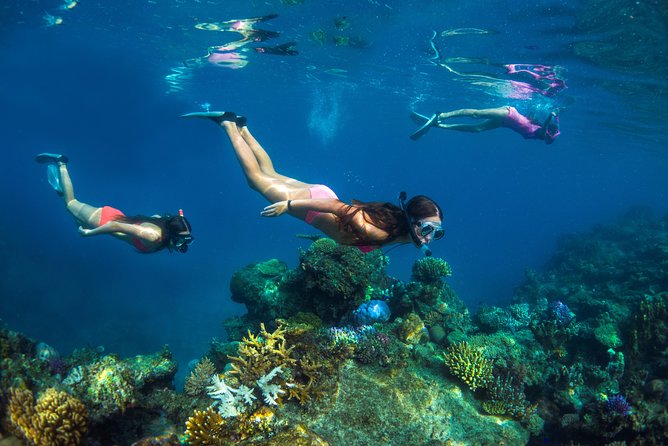 Captain Cook Cruises Fiji - Island and Reef Day Cruise - A Fijian welcome before island time