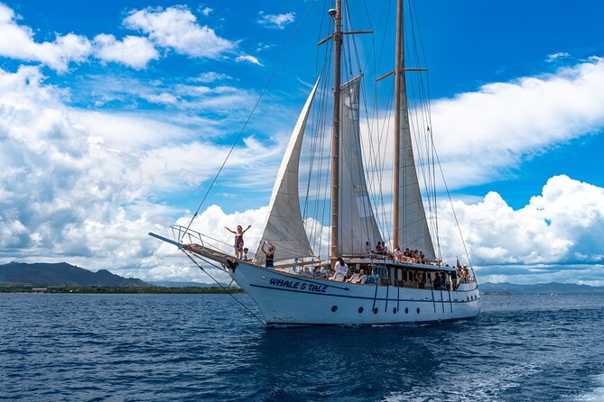 CFC APPROVED Roundtrip Transfer - Nadi Airport to Naviti & Warwick Resort - Conversation, local advice, and driver consistency
