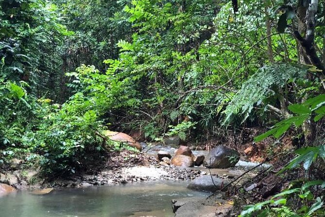''Coral Coast Adventure: Biausevu Waterfall & Natadola Beach !'' - Lunch at Baravi Handicrafts & Cafe