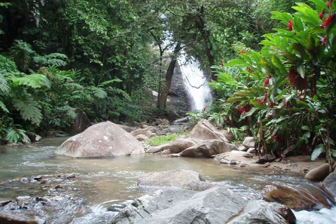 ''Coral Coast Adventure: Biausevu Waterfall & Natadola Beach !'' - What the $148.16 price really covers