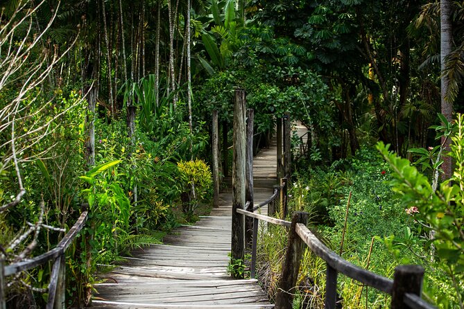 Coral Coast Sightseeing & Pottery Village Tour - Tappoo Fiji Market, lunch, and extra spending