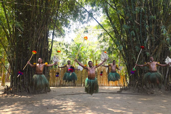 Cultural Day Tour - Pickup from Denarau, Wailoaloa, and Nadi
