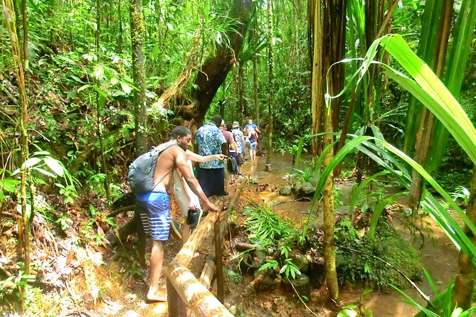 Customized Suva day tour - What the guides add to the experience