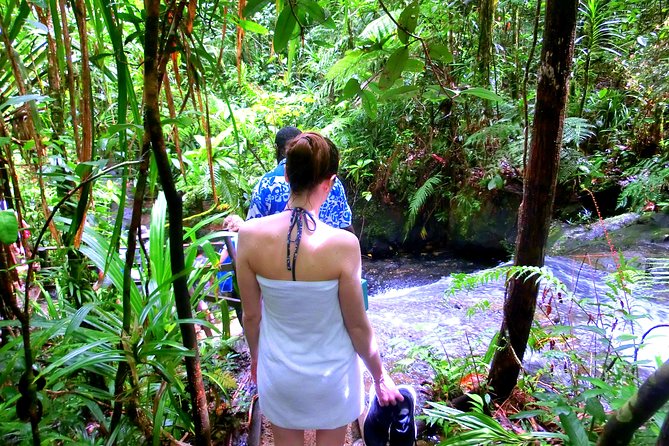 Customized Suva day tour - Rain, walking, and the right expectations
