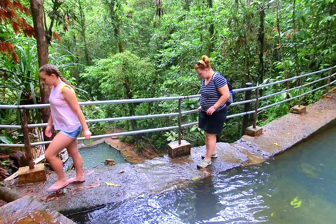 Customized Suva day tour - Colo-i-Suva and the walk to the waterfalls