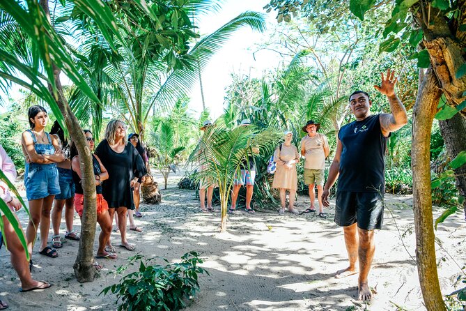 Day and Night Combo Tour - Who will get the most from the $164 price