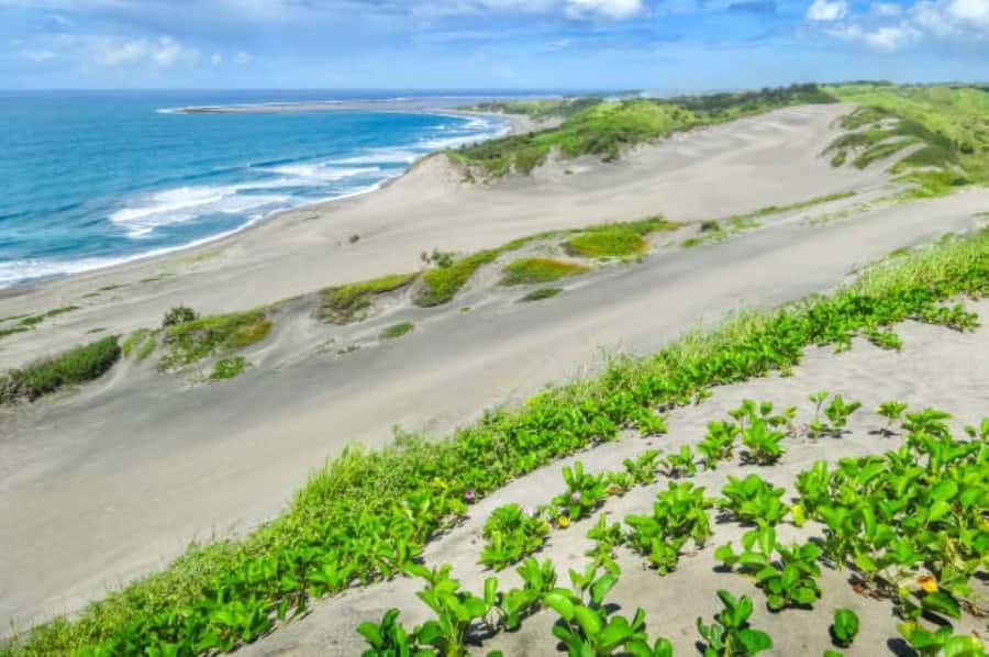 Discover Fijian Culture and Reptiles - Kula WILD Adventure Park and Fiji’s crested iguanas