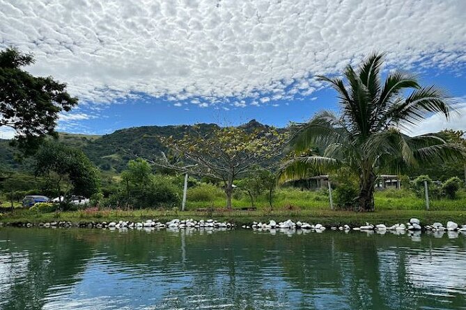 Discover Mud pool/Hot -Spring Nadi - Hotel pickup makes this easy to fit into your day