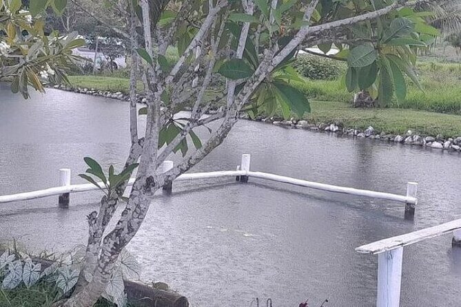 Discover Mud pool/Hot -Spring Nadi - What the $46.57 price delivers