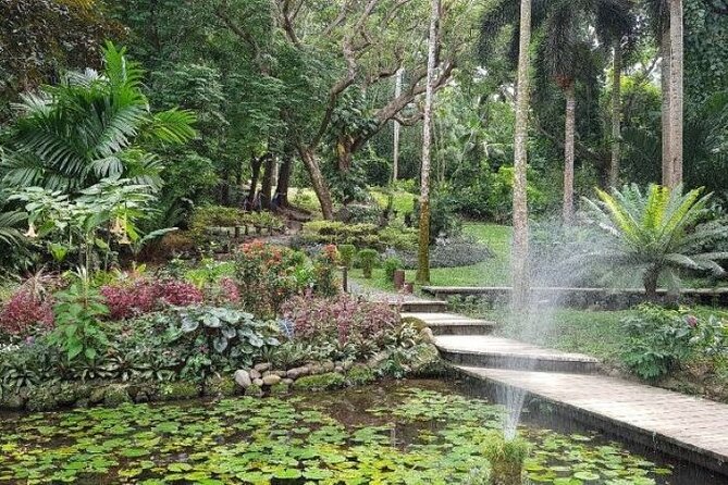 Discover Mud pool/Hot -Spring Nadi - The Garden of the Sleeping Giant is an optional extra