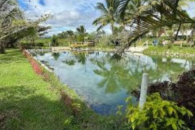 Discover Mud pool/Hot -Spring Nadi - Facilities are functional, not fancy