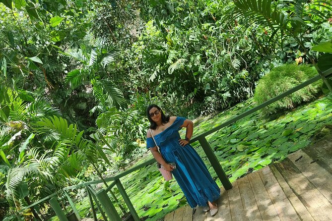 Discover Nadi Fiji Private Tour (All Fees Included) - Why this private Nadi tour works well