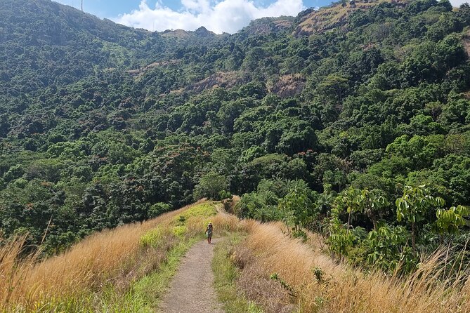 Discover Nadi Fiji Private Tour (All Fees Included) - Guides, communication, and the private format