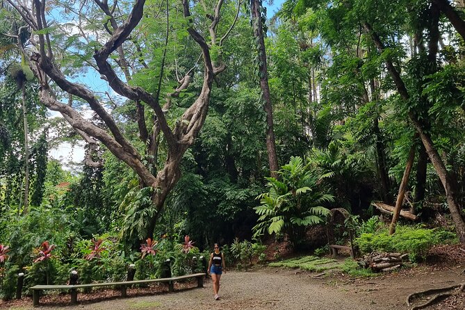 Discover Nadi Fiji Private Tour (All Fees Included) - Walking among orchids at the Garden of the Sleeping Giant