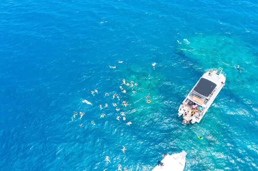 Fiji: Beachcomber Island Day Cruise with Snorkelling - Meeting the turtles at the pond