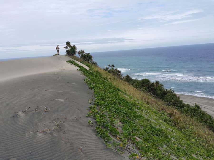 Fiji: Biausevu Waterfall and Sigatoka Sand Dunes Tour - Why this Fiji combination works
