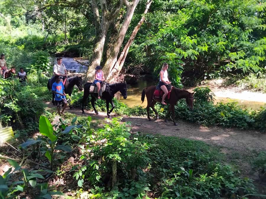 Fiji Biausevu waterfall & Village Tour - From Nadi hotels to Biausevu village