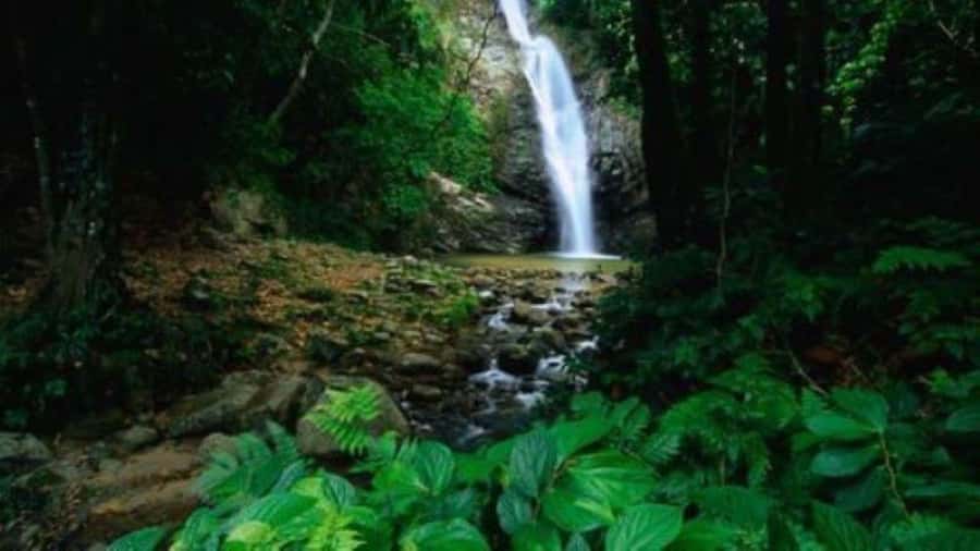 Fiji Biausevu waterfall & Village Tour - What the $119 price really buys