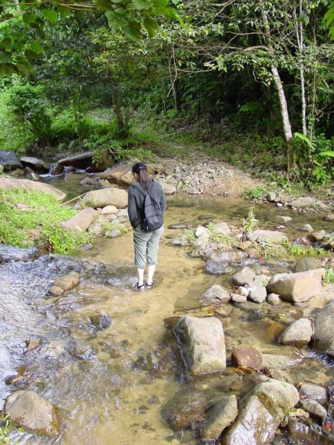 Fiji Biausevu waterfall & Village Tour - Who will enjoy this Fiji day trip