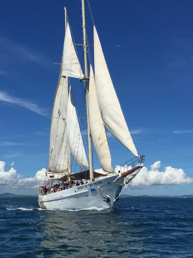 Fiji: Captain Cook Cruises - Island & Reef Day Trip - Key points at a glance