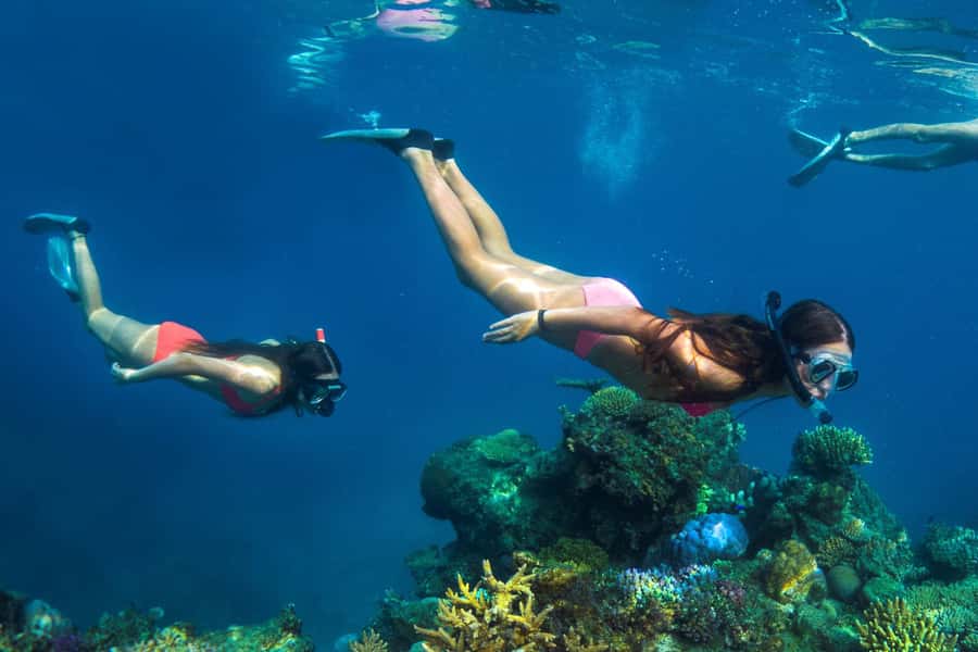 Fiji: Captain Cook Cruises - Island & Reef Day Trip - Kava, music, and Fijian hospitality