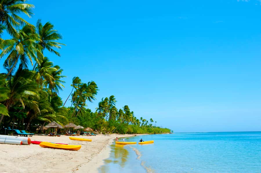 Fiji: Cultural Island Adventure & Jungle Cruise Experience - Who will enjoy this island adventure most