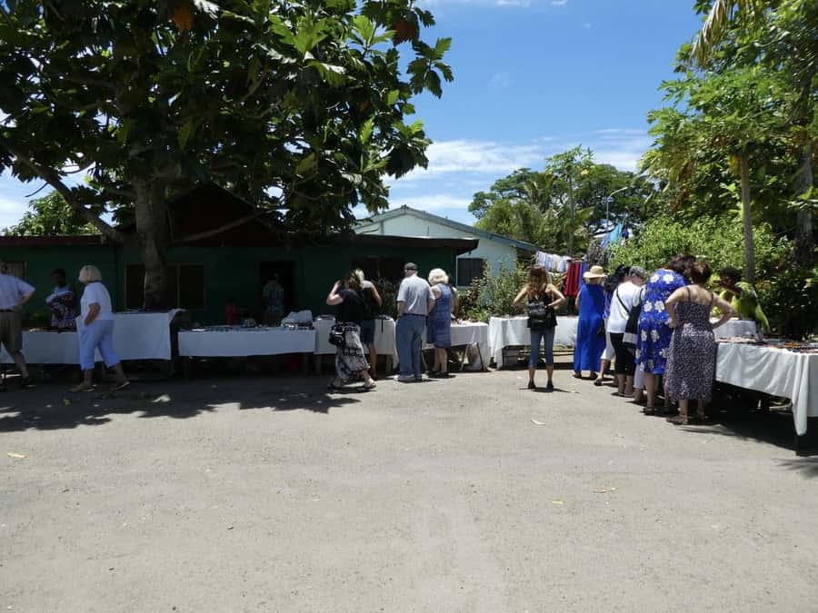 Fiji: Discover Nadi with Sabeto Hotspring and Mudpool Tour - Viseisei village and the chief’s traditional house