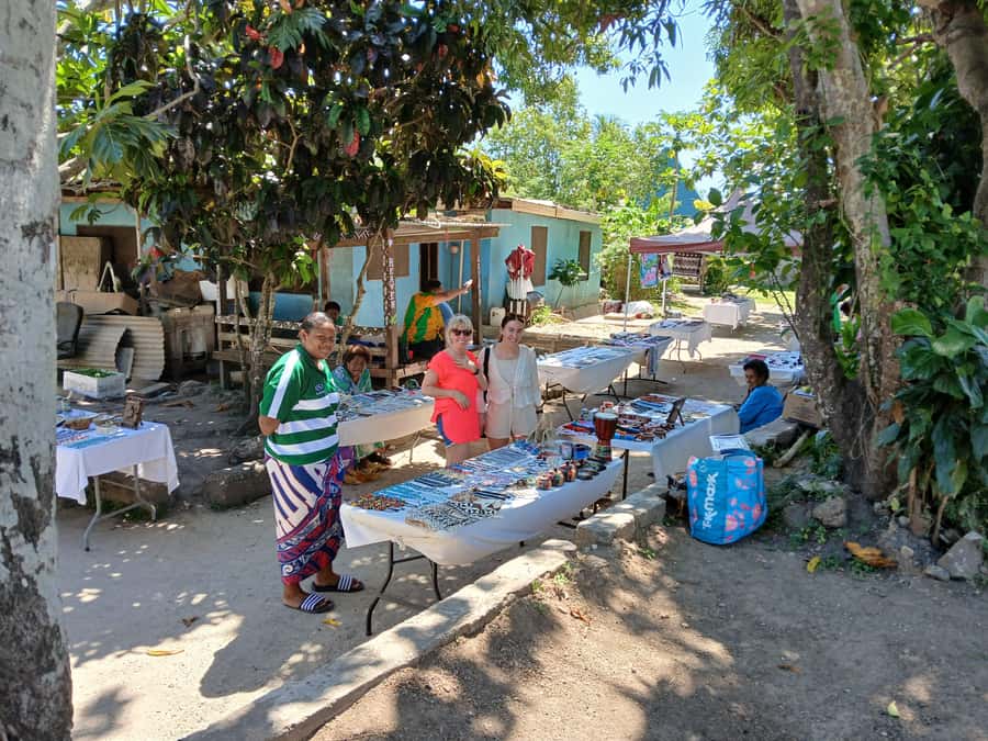 Fiji: Discover Nadi with Sabeto Hotspring and Mudpool Tour - Timing, transfers, and the real value of $91
