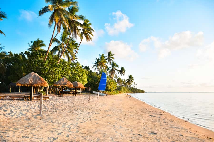 Fiji: Full Day Cultural Island Tour with Lunch & Cruise - From Your Hotel to the Tuva River
