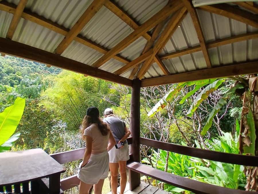 FIJI: Garden of the Sleeping Giant - Key points to know before you go