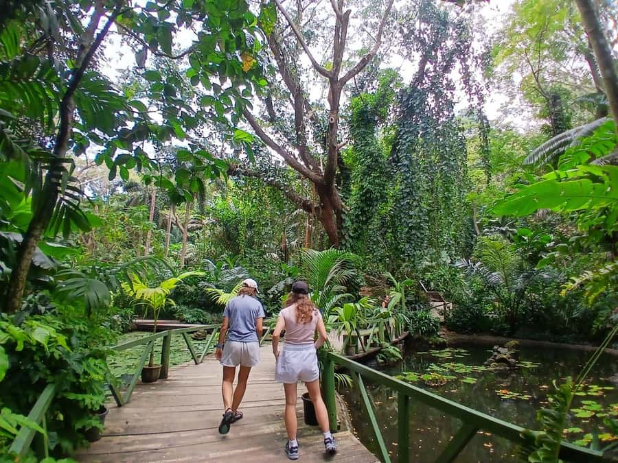 FIJI: Garden of the Sleeping Giant - A cool morning in the Sabeto Valley