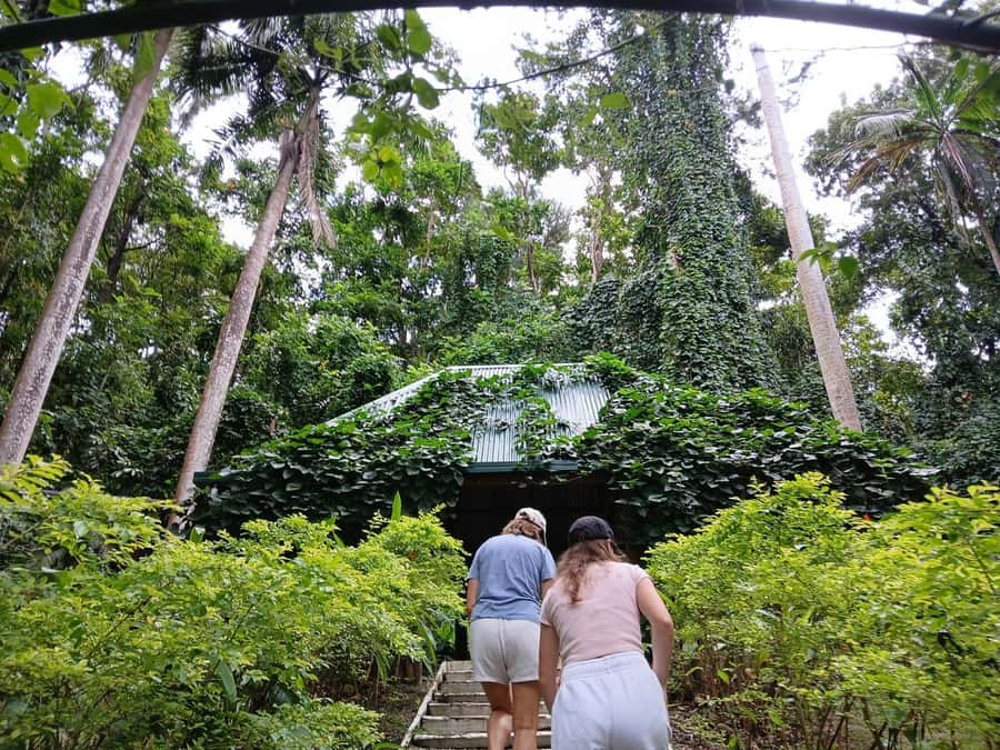 FIJI: Garden of the Sleeping Giant - Following the orchid paths