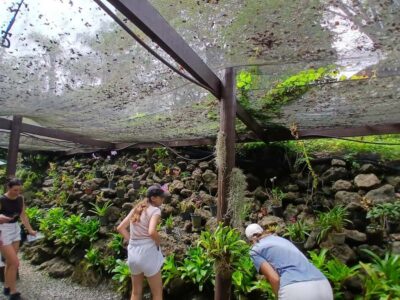 FIJI: Garden of the Sleeping Giant