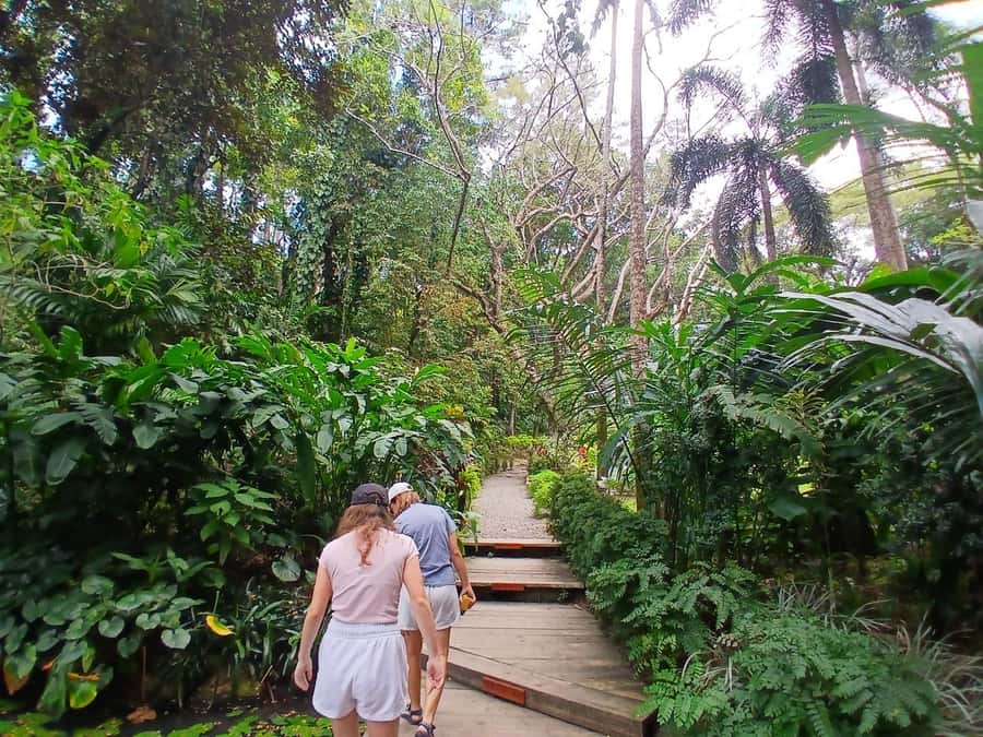 FIJI: Garden of the Sleeping Giant - The lily pond and native forest walk