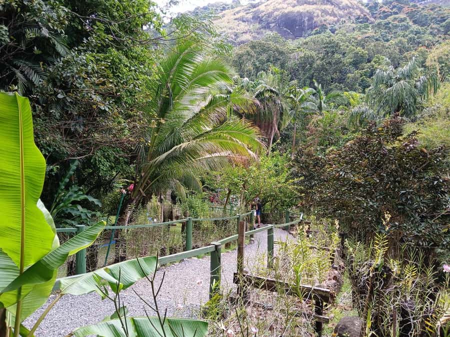 FIJI: Garden of the Sleeping Giant - Is $27 a fair price?