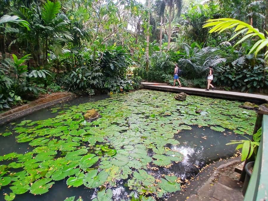 FIJI: Garden of the Sleeping Giant - How long you really need