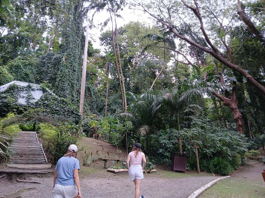 FIJI: Garden of the Sleeping Giant - Practical preparation for the garden