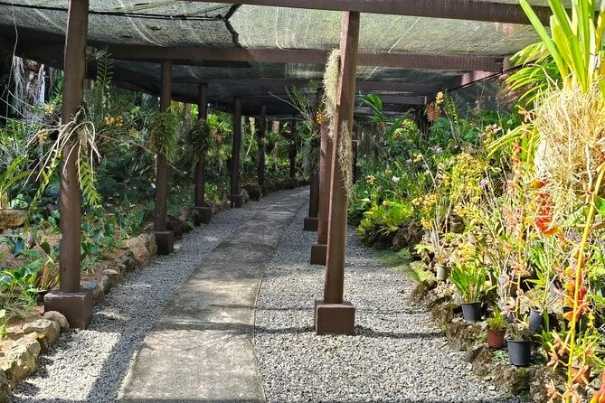 Fiji Lautoka Shore Excursions Tour - Who will enjoy this Lautoka excursion