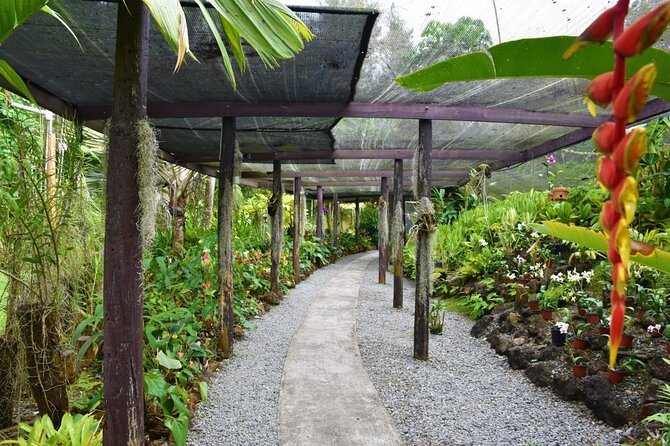 Fiji Lautoka Shore Excursions Tour - Practical tips for a smoother morning