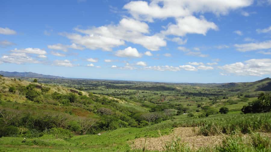 Fiji: Navala Village Cultural Tour & Traditional Lunch - Walking through Navala’s traditional bures