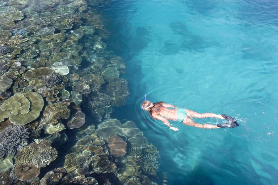 Fiji: South Sea Island Combo Half Day Trip Lunch & Drinks - Key points at a glance