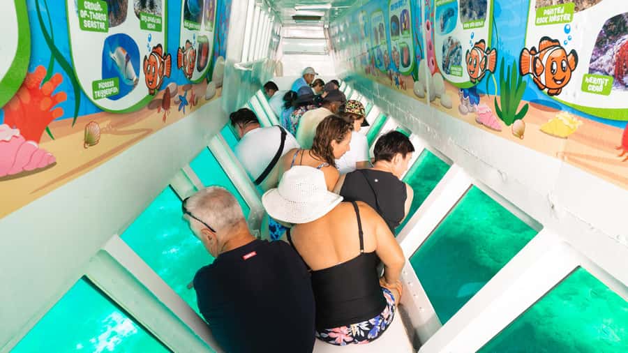 Fiji: South Sea Island Combo Half Day Trip Lunch & Drinks - Who will enjoy this outing most